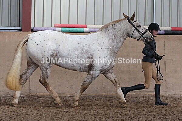 SIAL0037 - Indoor Classes