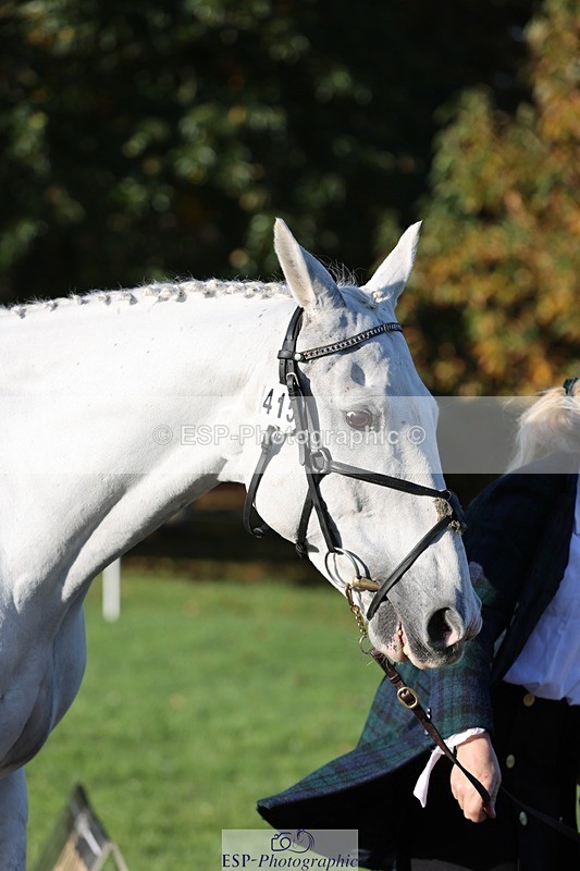 241027-090859-15067 - 415-Tanya.Nevile-IRISH.LENNIE