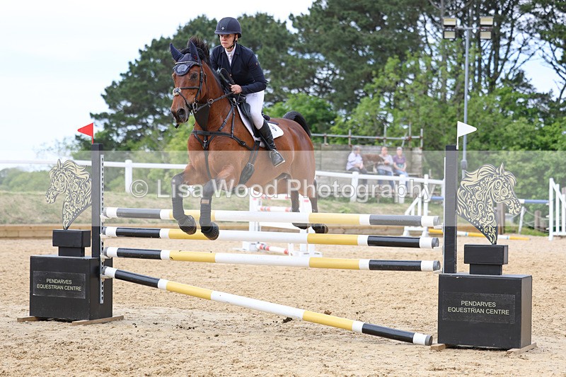 3E7A7615 - Class 8: Senior Foxhunter/1.20 open