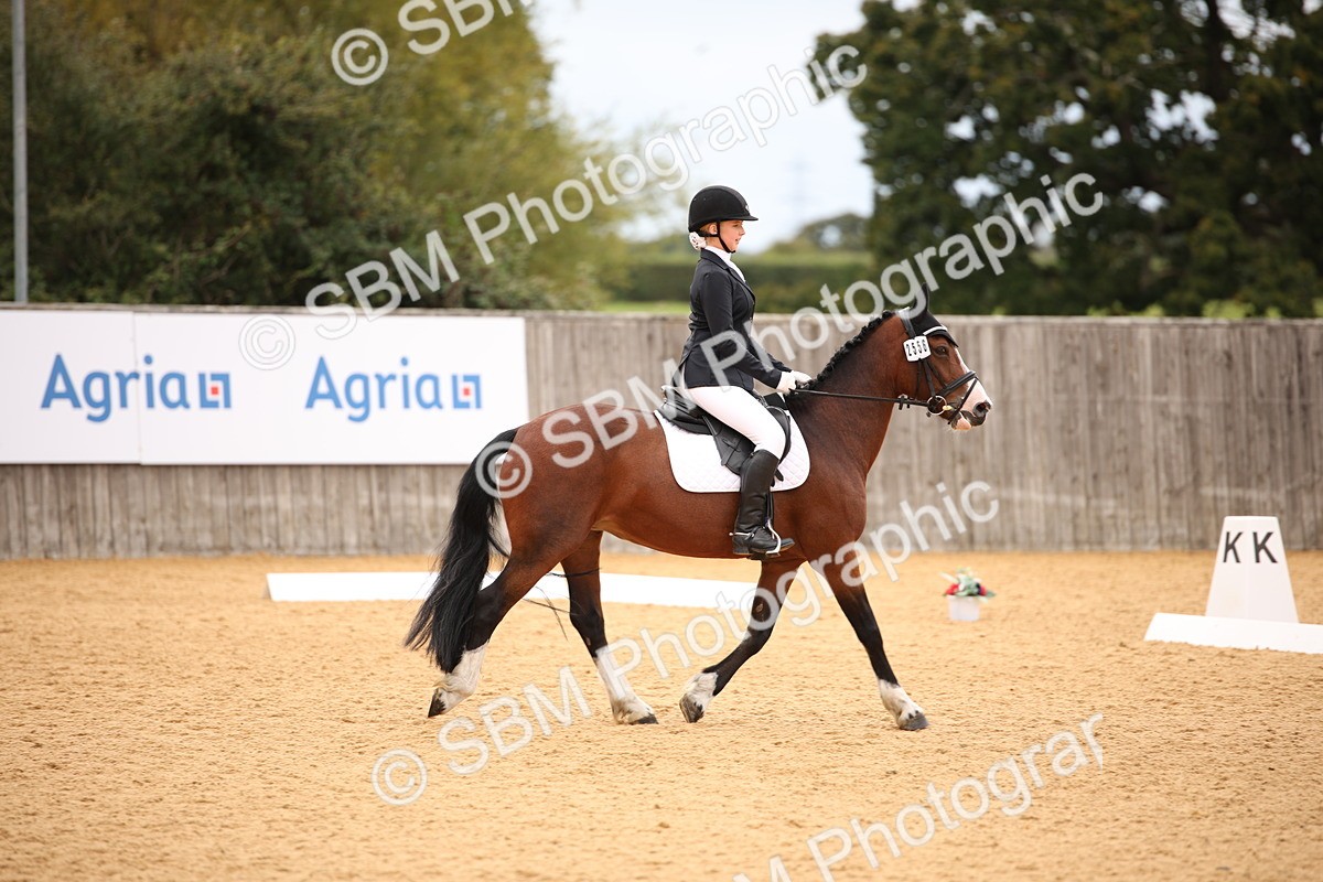 SBM_12228 - D3 Small  Tour Championship Intro A