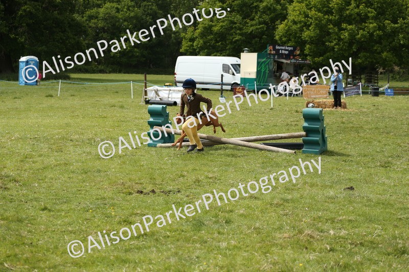 20250517-2909 - Class 25 - Horse & Hound