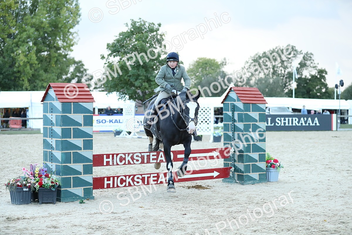 SBM_53692 - Supreme Championship 65cm 70cm