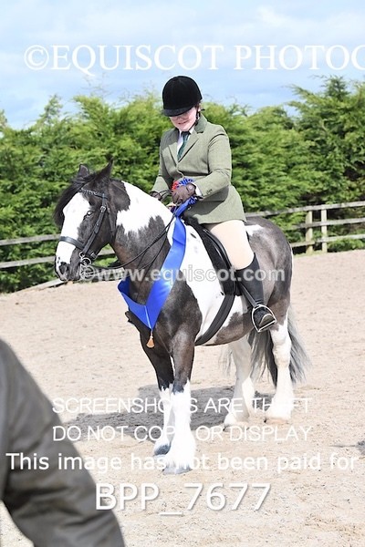BPP_7677 - RING 1  (RIDDEN HORSES / IN HAND / VETERAN ETC)