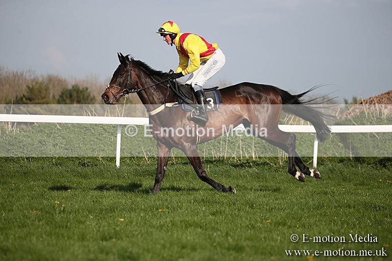 PtP 210418 552 - South & West Wilts Point-to-Point Larkhill 21/04/18