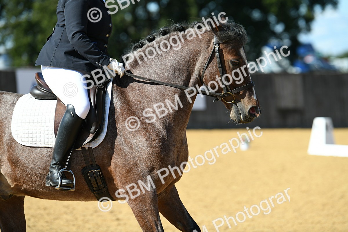 SBM_24760 - D13 - Grand Tour Championship - Prelim 12