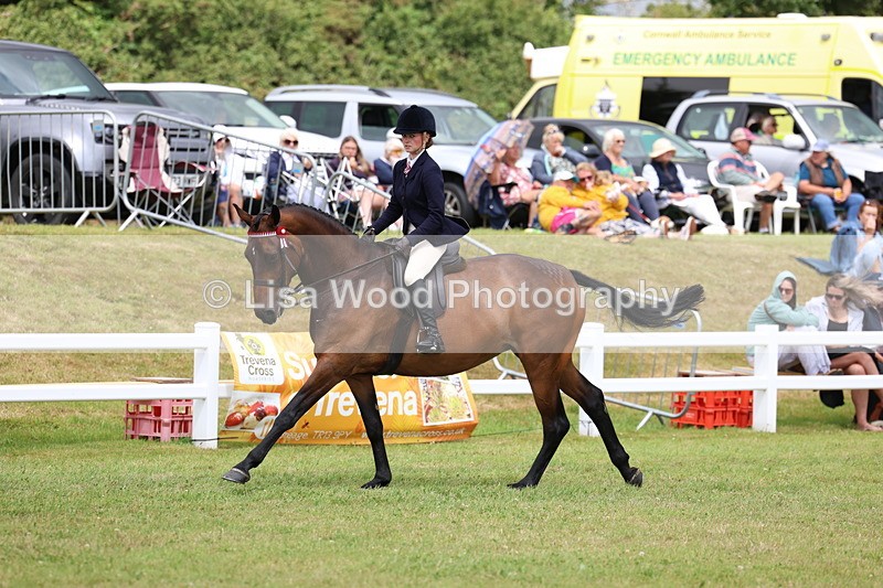 3E7A0969 - Class 8: Open Riding Horse/Hack