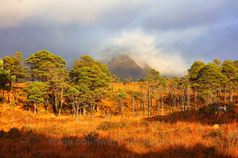 Misty Torridon Mountains     ref 1101 - Scotland