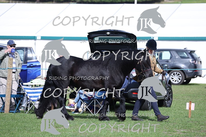 APP_2753 - Class 10a/b M&M in hand