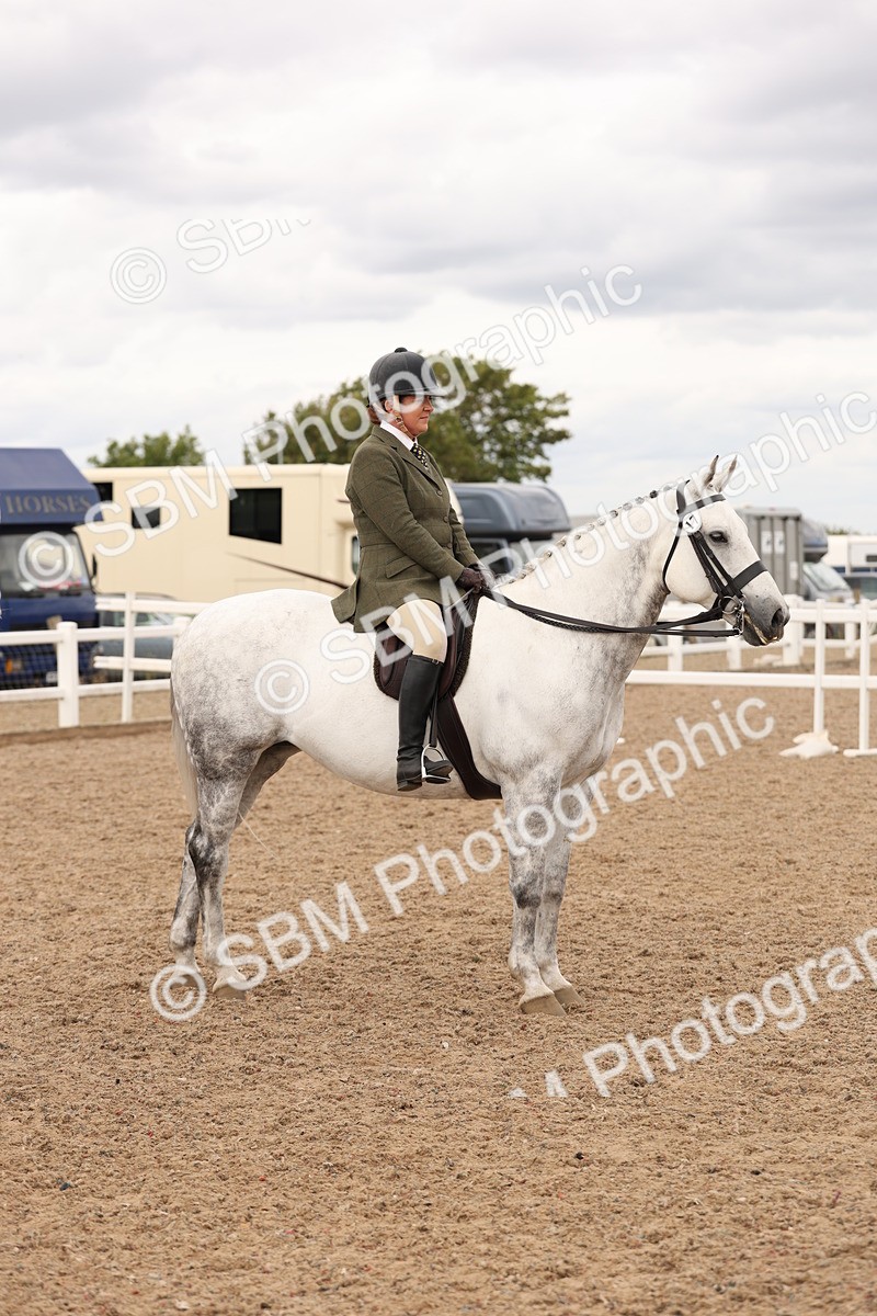 SBM_16513 - Class 212 - Ridden Hunter - Small