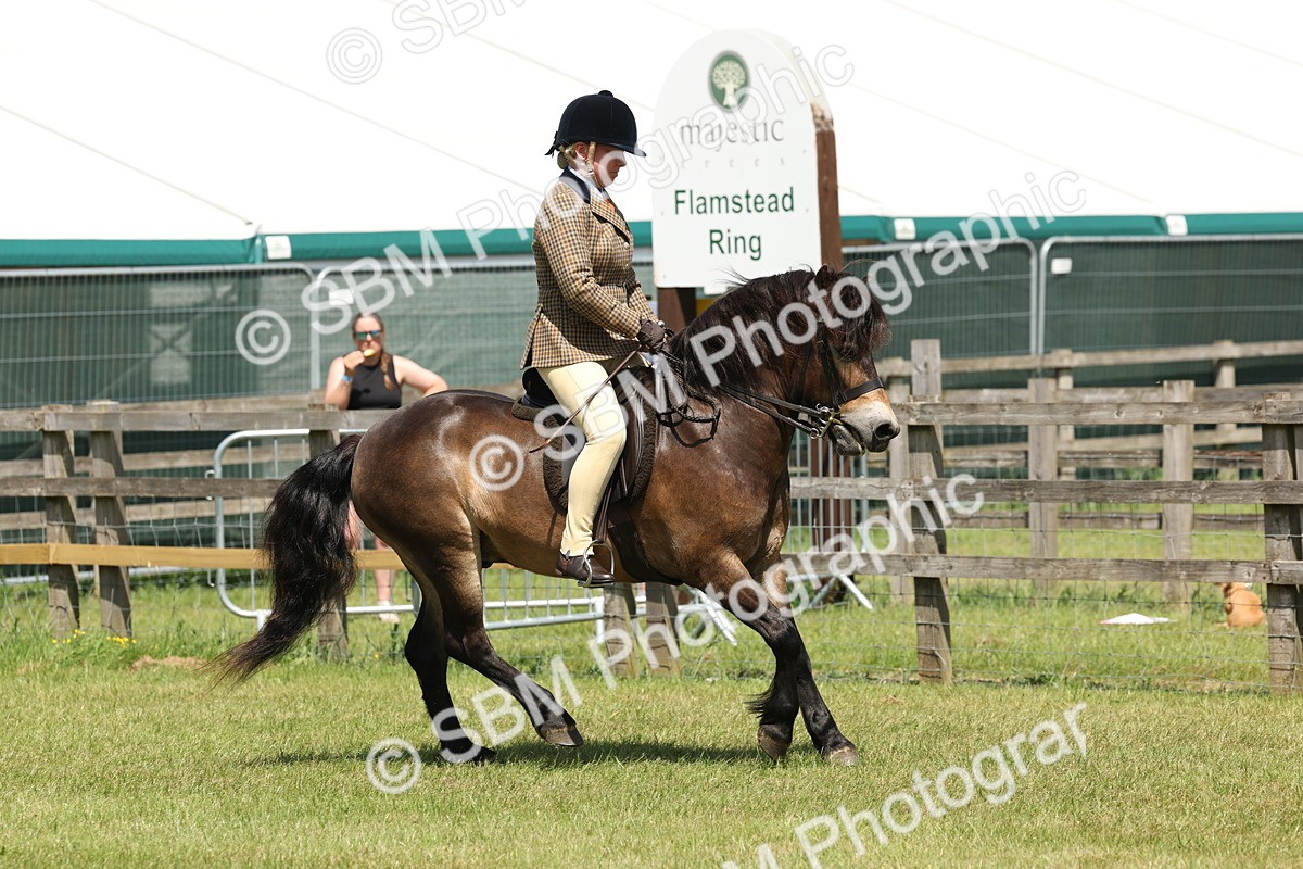 SBM_06819 - Class 26-30 - Mountain and Moorland Ridden