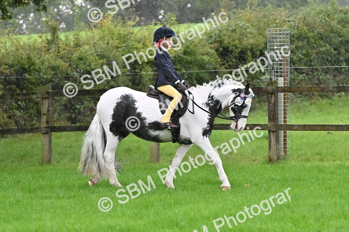 SBM_35625 - S16 - Top Turnout - Ridden