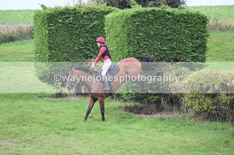 WJ7_9209 - Time 14:01 to 14:20