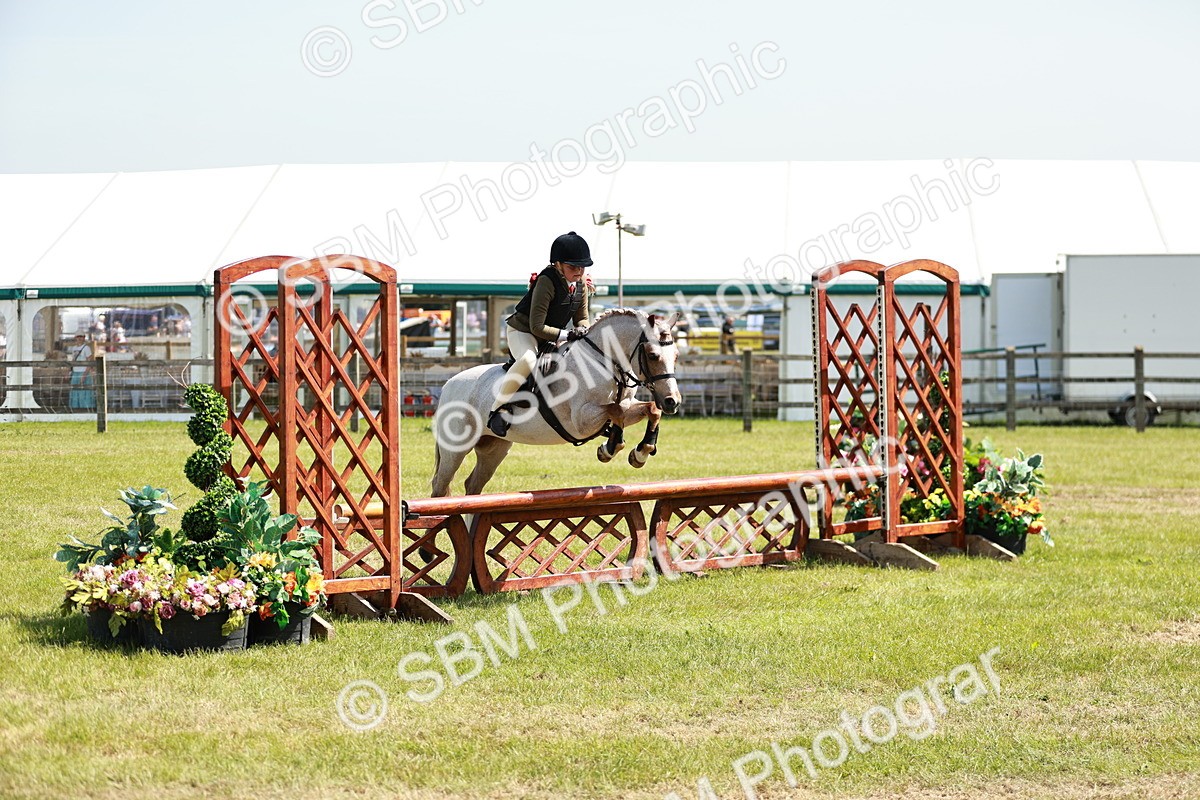 SBM_13617 - Class 108-109 - BSPS LIHS Open Gradle & Nursery Stakes