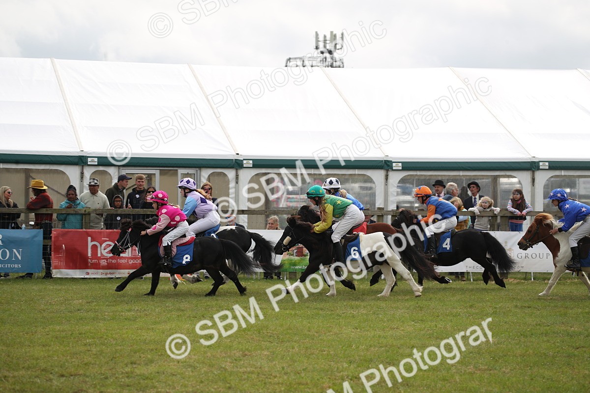 SBM_09989 - Dinky Derby