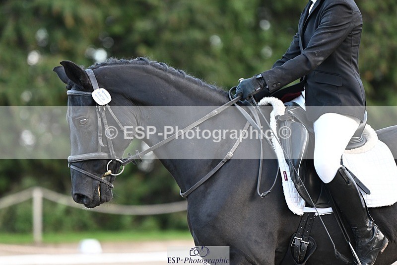 231110-134517-01041 - Cls 4 Novice 39Q