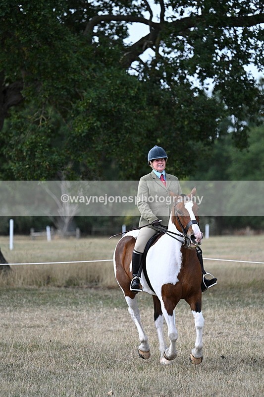 WJ7_7221 - Class 14 Ridden Coloured