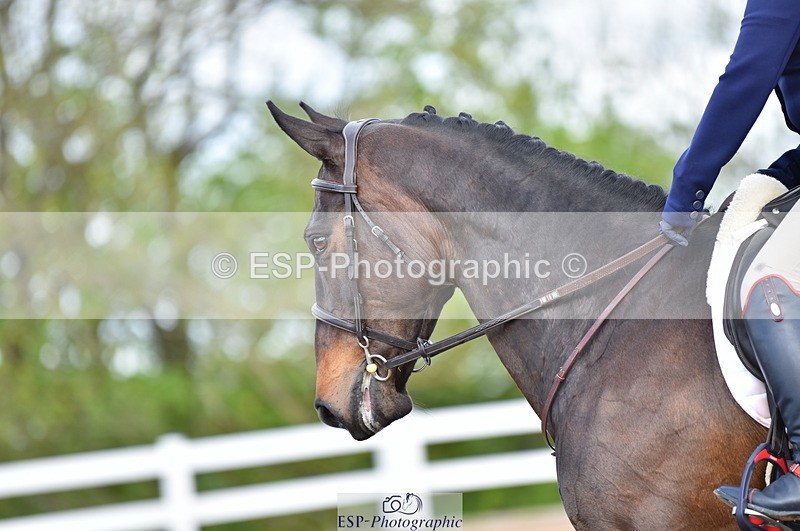 230511A-103250-00266 - BD Cls 4 Novice 22