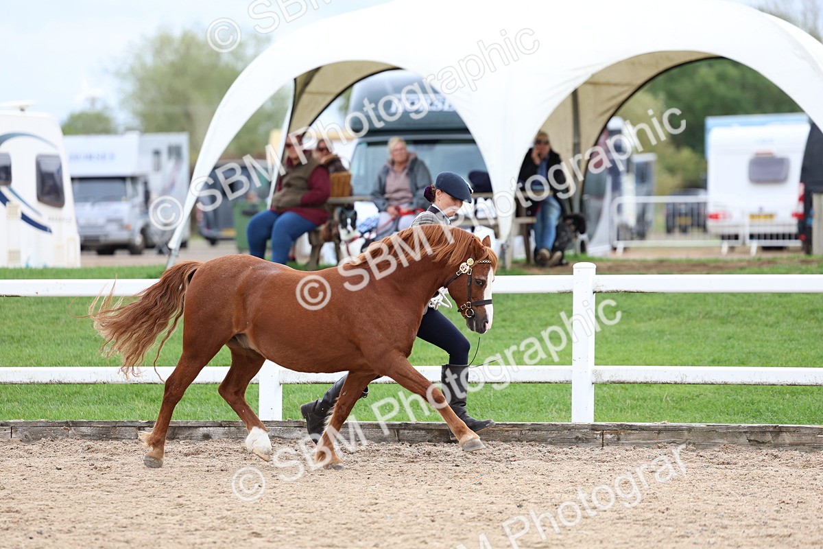 SBM_05849 - Class 29 - IH Veteran Pony
