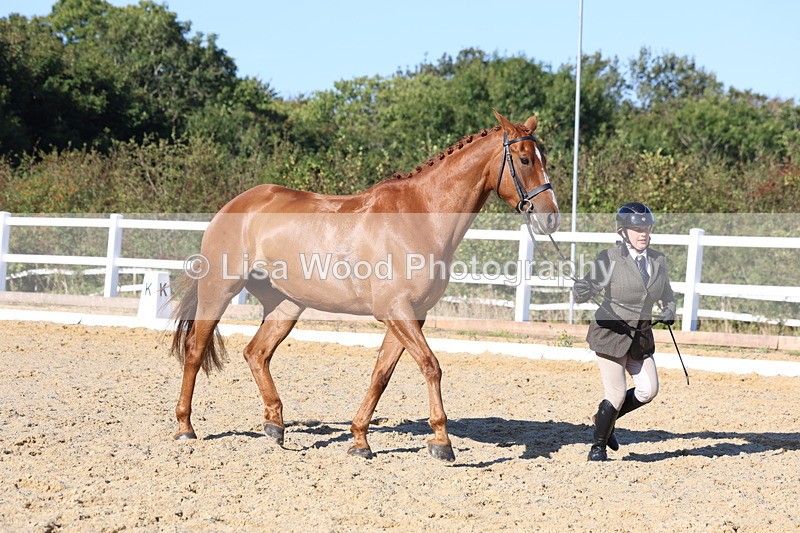 3E7A5221 - Class 7: Novice Ridden Hunter/Hack/RH/Cob