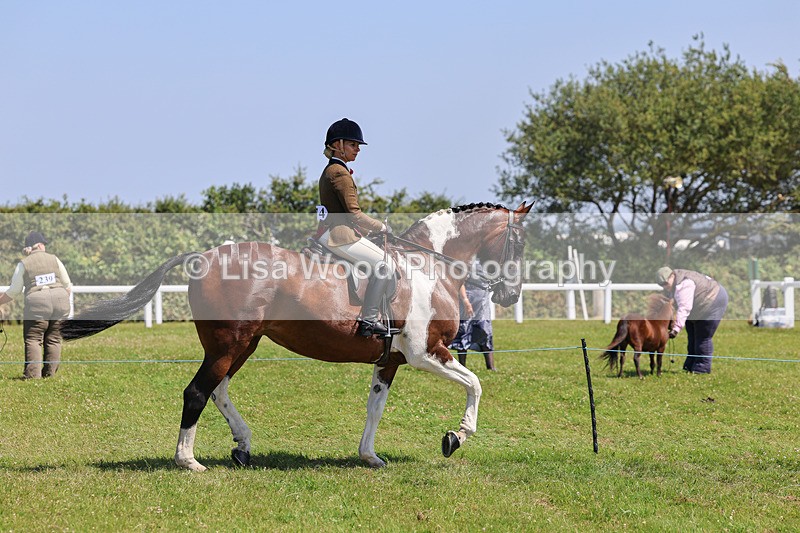 IMG_2451 - Class 38: Veteran Ridden