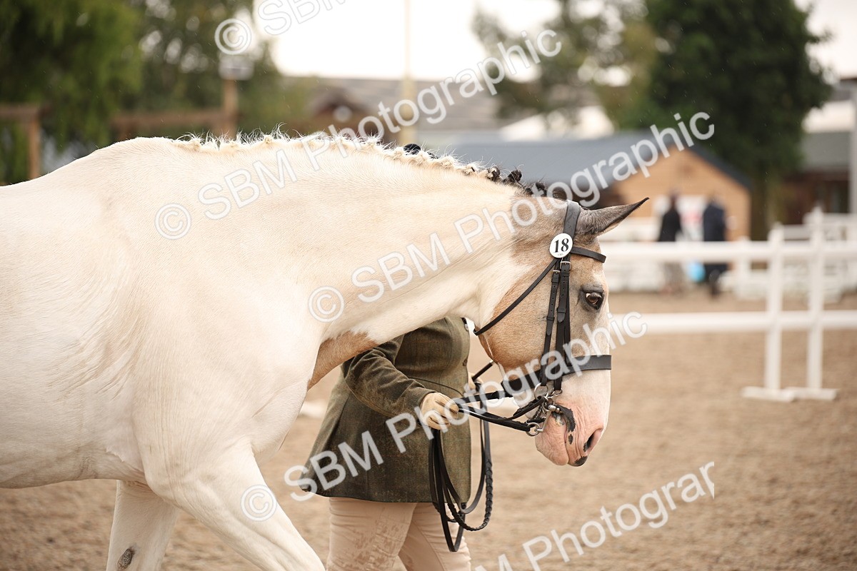 SBM_20719 - Class 705 - IH  Combination 65+