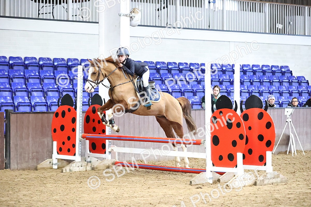 SBM_001298 - Class 9 - Pony British Novice 80cm