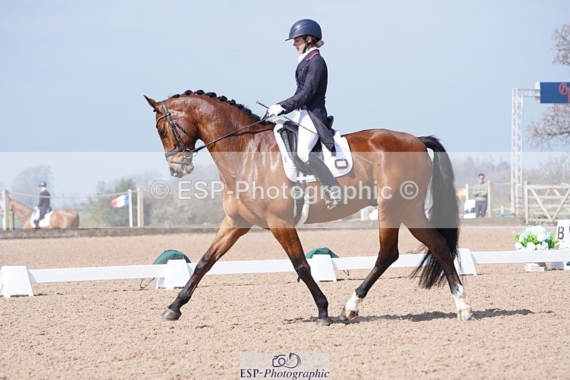 250404-122548-05653 - 028-Elizabeth.Allen-Heraldik