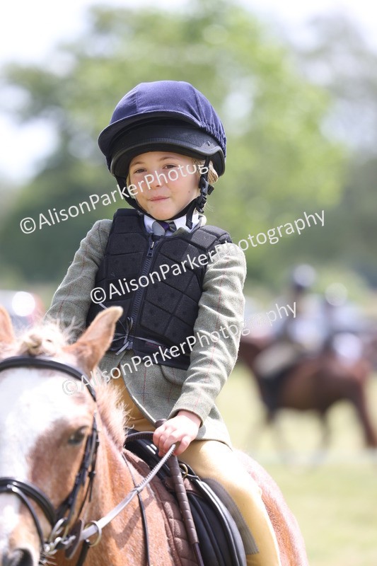 20260614-2026 - Class 21 - Novice Working Hunter Pony