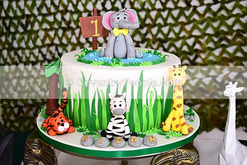 ADN-038 - Aiden's 1st Birthday
