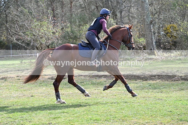 WJ7_0536 - Time 10:56 to 11:17