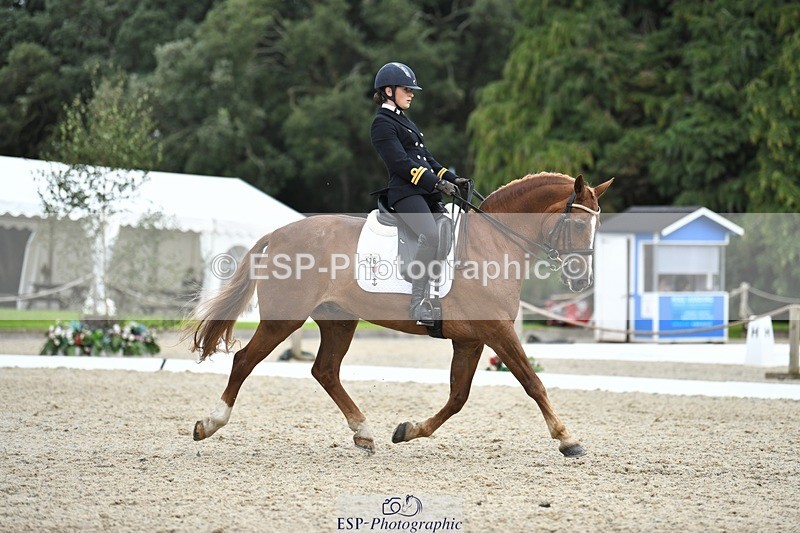 230812-141540-04652 - Cls 7 FEI PSG Bronze