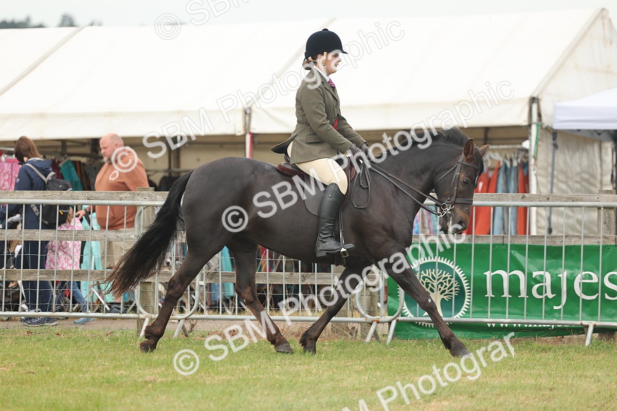 SBM_09109 - Class 78-80 - Ridden M&M Non Welsh Ponies
