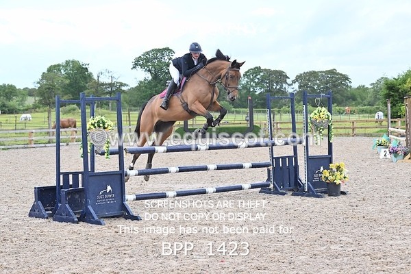 BPP_1423 - CLASS 11 SAT Ariat Senior BritiNovice 2ND ROUND