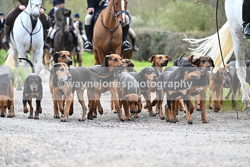 WJ7_9805 - Walk Home