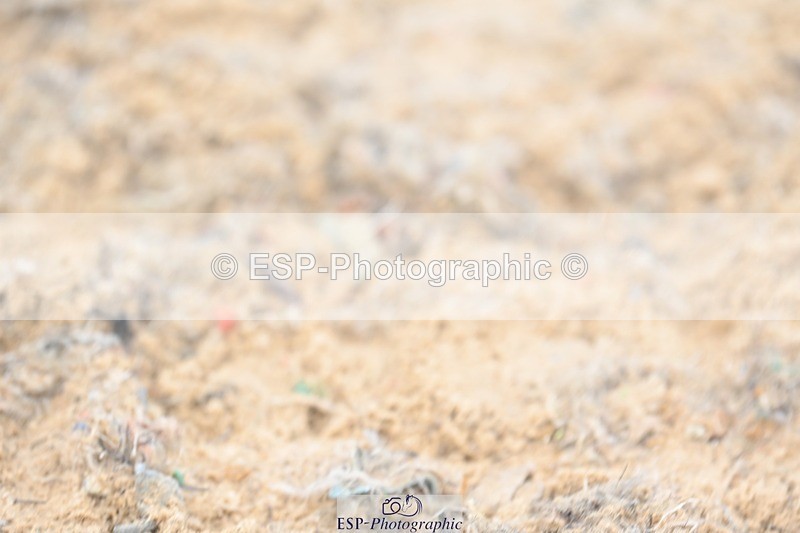 230813-090651-05762 - Cls 12 Elem Silver Start to 10.10 break