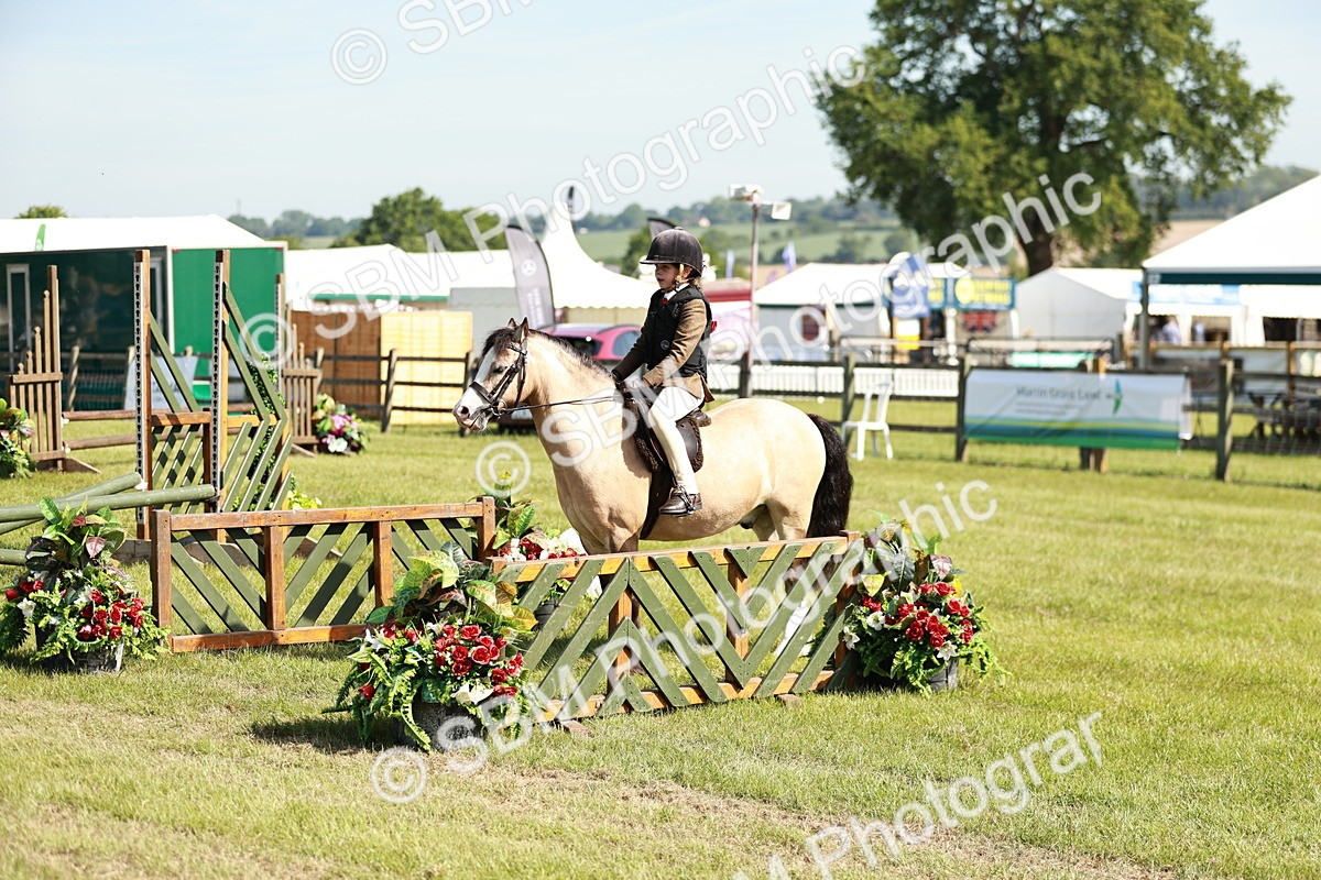 SBM_12695 - Class 106-107 - BSPS LIHS Working Sports Pony