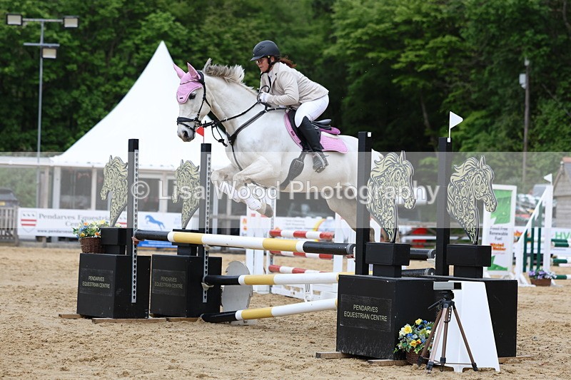 3E7A6280 - Class 4: Senior British Novice/90cm open