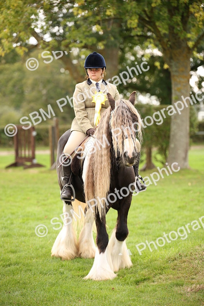 SBM_73591 - S68 - Traditional Cob Ridden