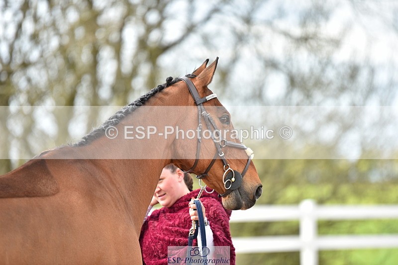 240417A-152900-00880 - 3pm to 4pm