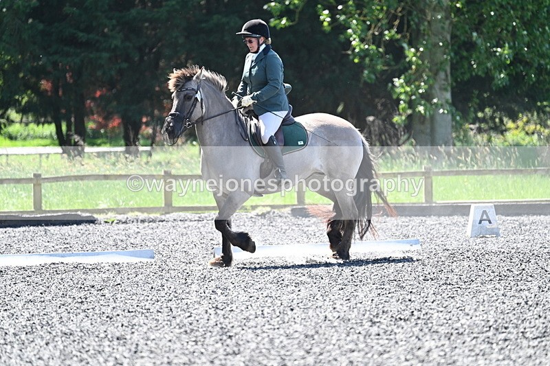 WJ7_0077 - Time 12:38 to 13:26