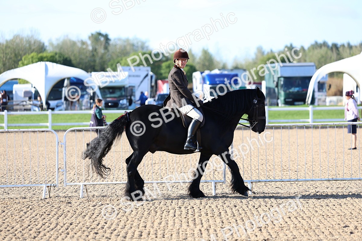 SBM_08715 - Class 302 - Ridden M&M - Large Breeds