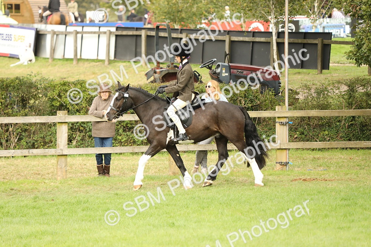 SBM_71578 - S41 - Ridden Equitation (Best Rider)