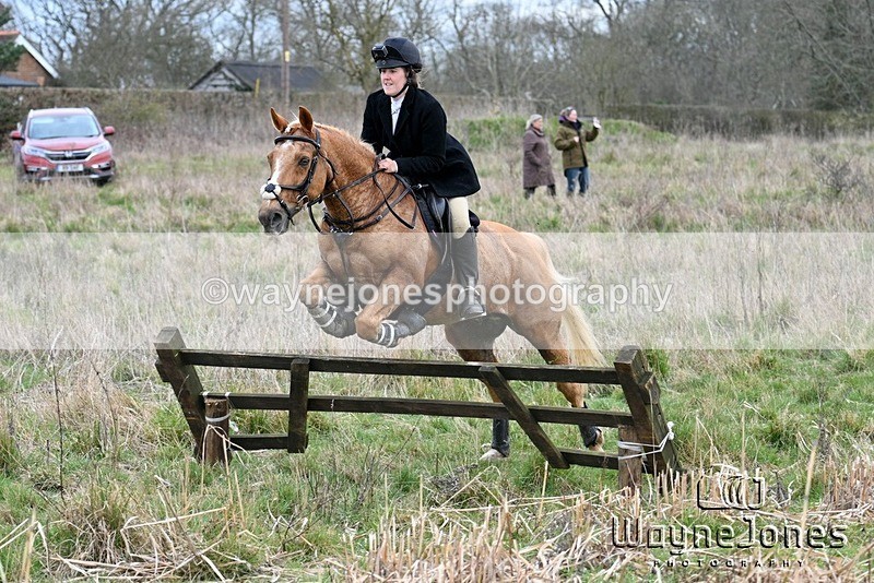 WJ7_6991 - Edited examples