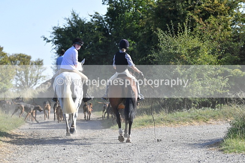 WJ5_4844 - Walk out with the hounds
