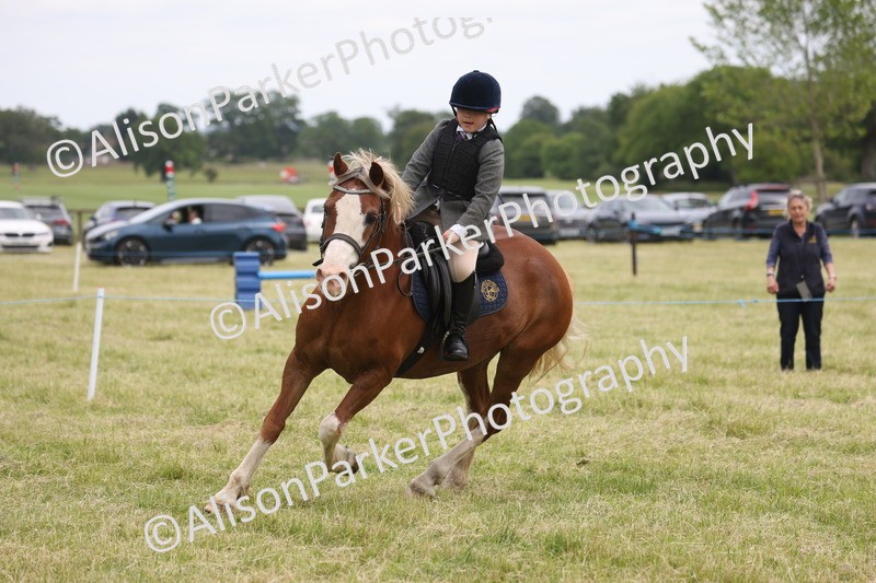 20260614-3103 - Class 22 - Open Working Hunter