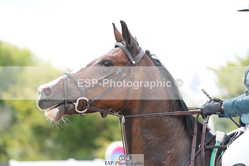 250731-150511-02068 - Cls 11 A&B 1.10cm Nat Am & 1.10 Open