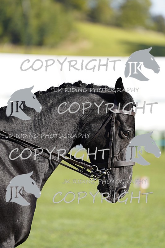 _DSC9446 - Class 8 & 17 Ridden Hunter & Ridden Hunter Pony