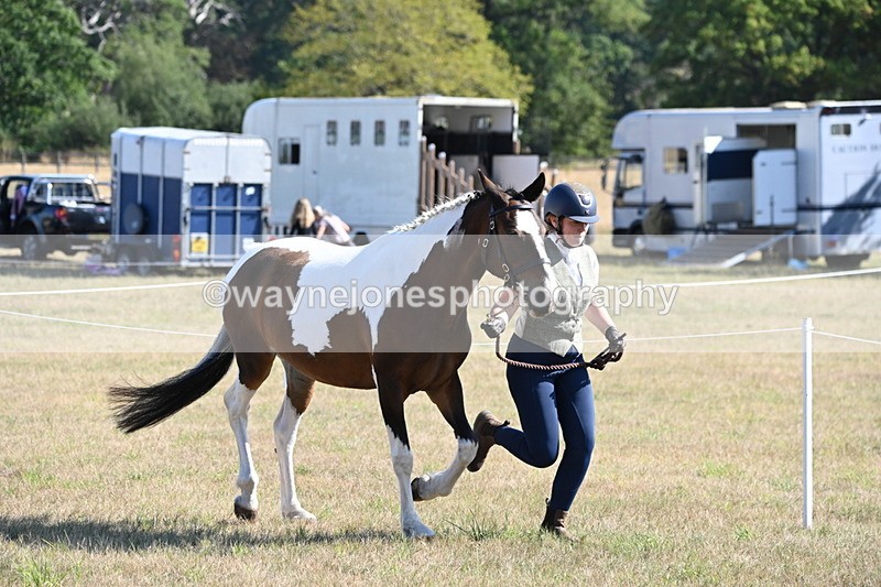 WJ6_4199 - Class 16 Condition & Turn Out