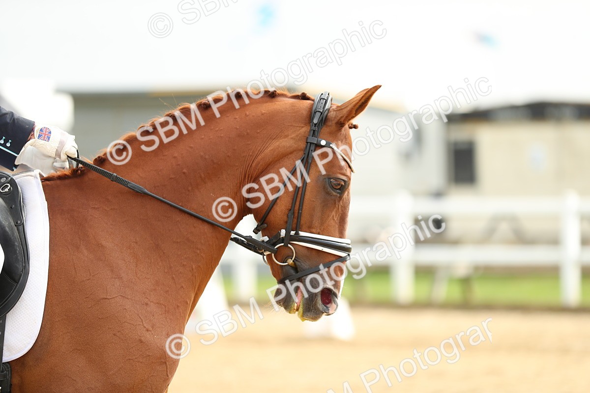 SBM_018286 - Class 11 - INT IN 15.40-16.12