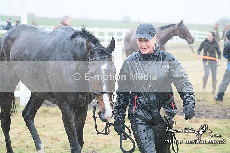 PtP 101223 668 - New Forest Hounds PtP Larkhill 10/12/23